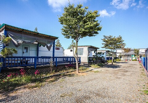 대부도 바다의별카라반