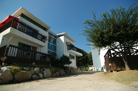 양평 더큰나무펜션