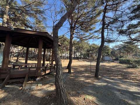 옹진 명성가족캠핑촌