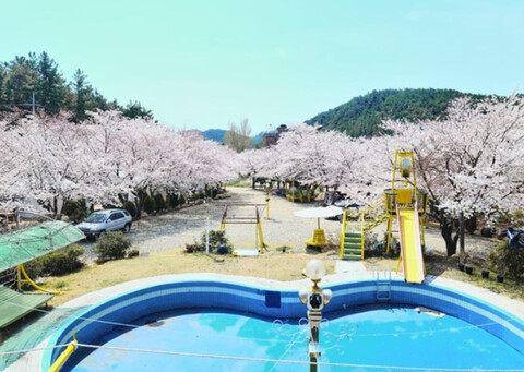 포항 칠포그린로즈