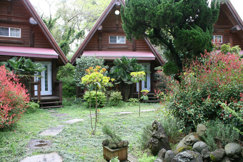 제주 로하스통나무집펜션