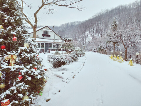 화천 파프리카펜션레드