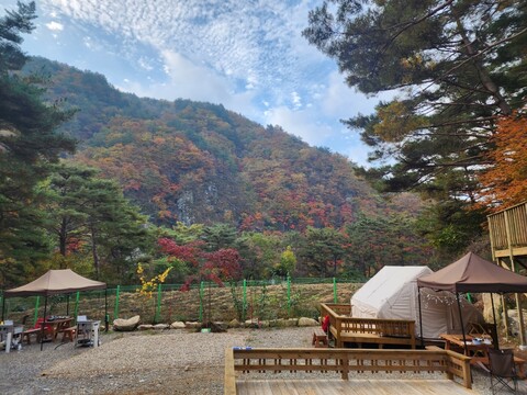 평창 리버파크 글램핑&캠핌장