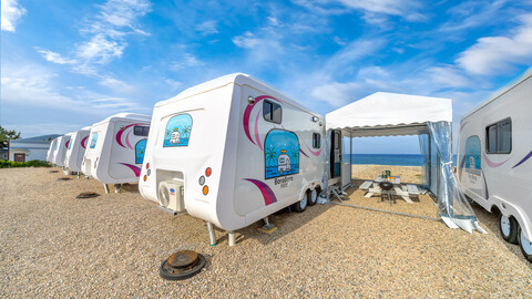 포항 보라보라카라반