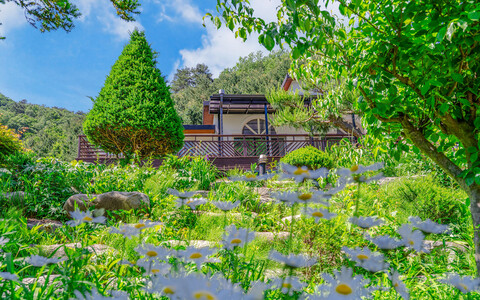 인제 연화스테이