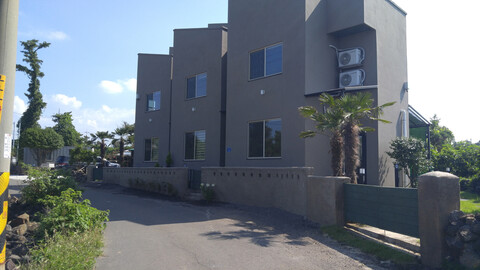 제주 바모스애견펜션