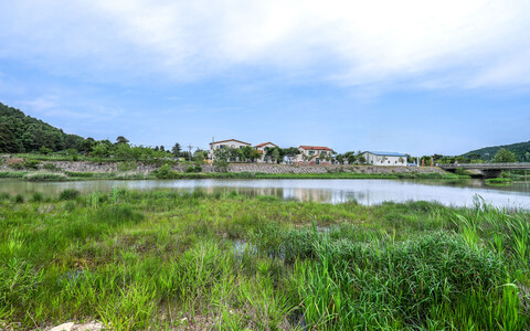 고성 송정마을 수목화 펜션