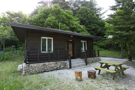 울진 금강송하늘펜션