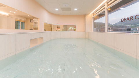 거제도 디어차일드