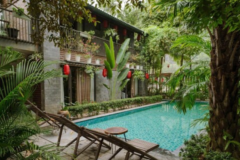 킹 콩 홈스테이