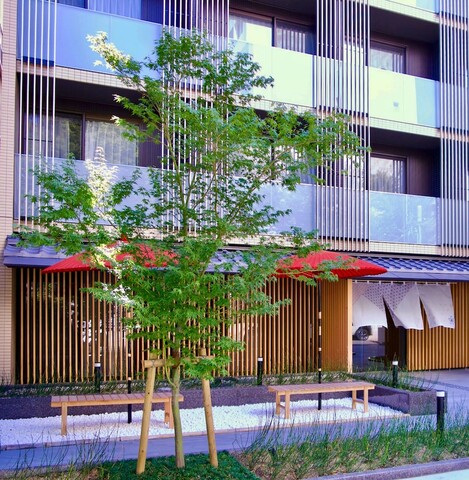 스테이 사쿠라 교토 후가