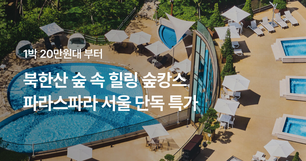 파라스파라 서울 5월 단독특가