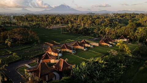 디투주 우붓 바이 제뉴인호스트