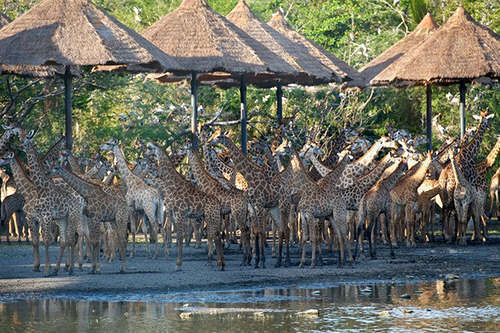 여행 상품 이미지