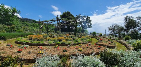 파토리아 테라노바