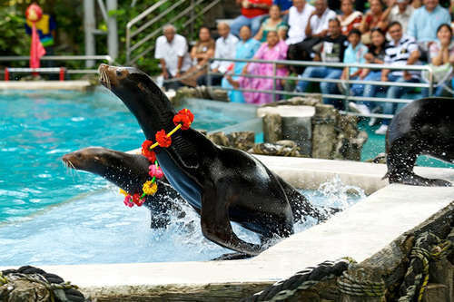 여행 상품 이미지