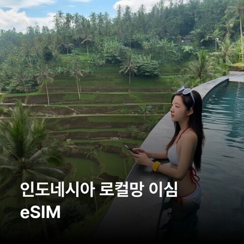 발리 여행 준비물 - 인도네시아 이심 eSIM 자카르타 발리 족자카르타 반둥 메단 보로부두르 사원 이심통