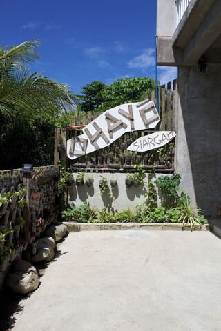 오하요 시아르가오