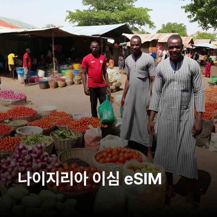 나이지리아 이심 eSIM 아부자 라고스 카노 잉구루 마운틴 리조트 자스퍼 이심통-i