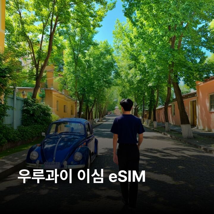 우루과이 이심 eSIM 몬테비데오 푼타 델 에스테 콜로니아 델 사크라멘토 로차 살토 이심통-i
