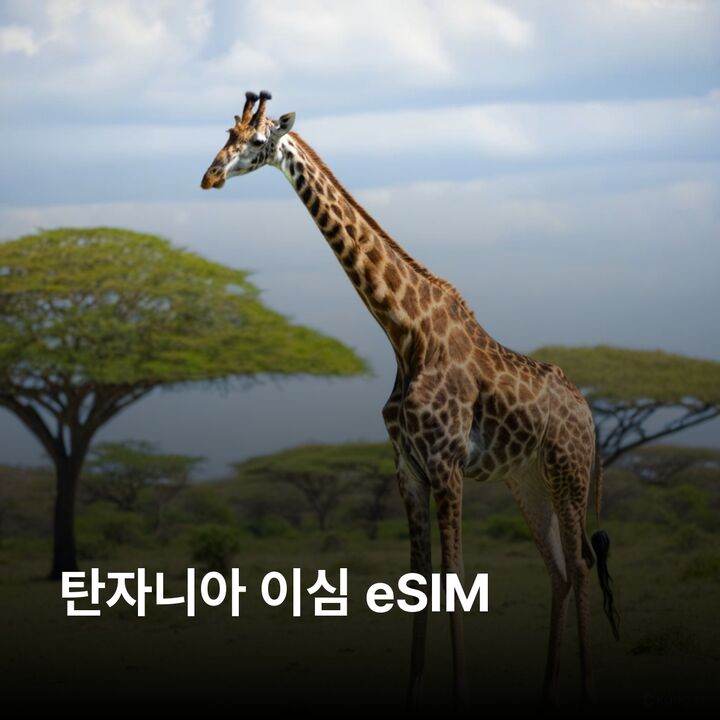 탄자니아 이심 eSIM 다르에스살람 도도마 아루샤 오흐리드 호수 세렝게티 이심통-i