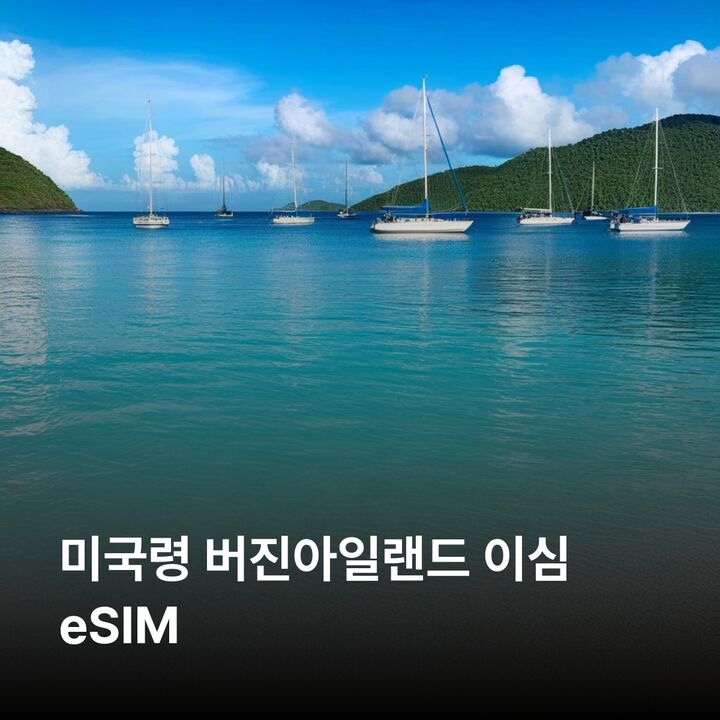 미국령 버진아일랜드 이심 eSIM 세인트 토마스 세인트 존 세인트 크로이 이심통-i