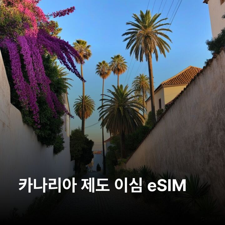 카나리아 제도 이심 eSIM 스페인령 테네리페 그란카나리아 란사로테 푸에르테벤투라 이심통-i