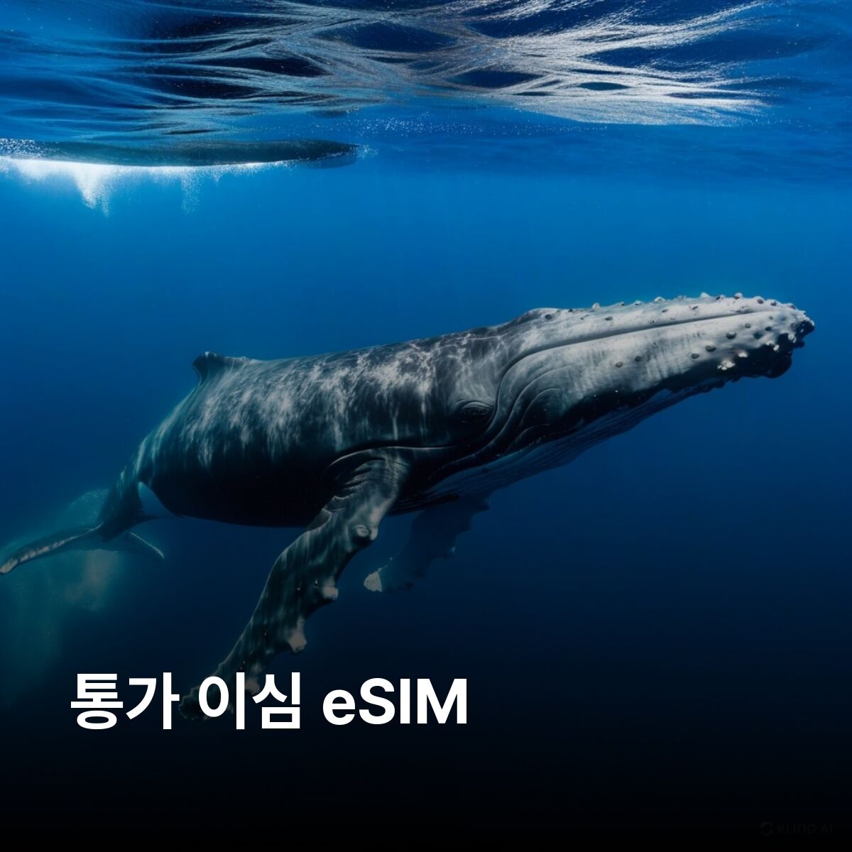 통가 이심 eSIM 하파이 바바우 통가타푸 마푸아아바카 이심통