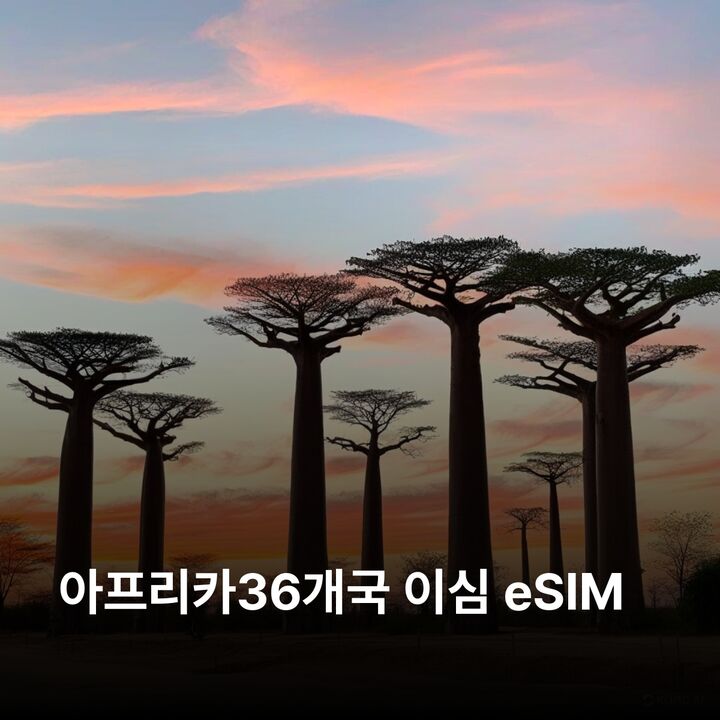 아프리카36개국 이심 eSIM 이집트 모리셔스 세이셸 남아프리카 케냐 탄자니아 이심통-i