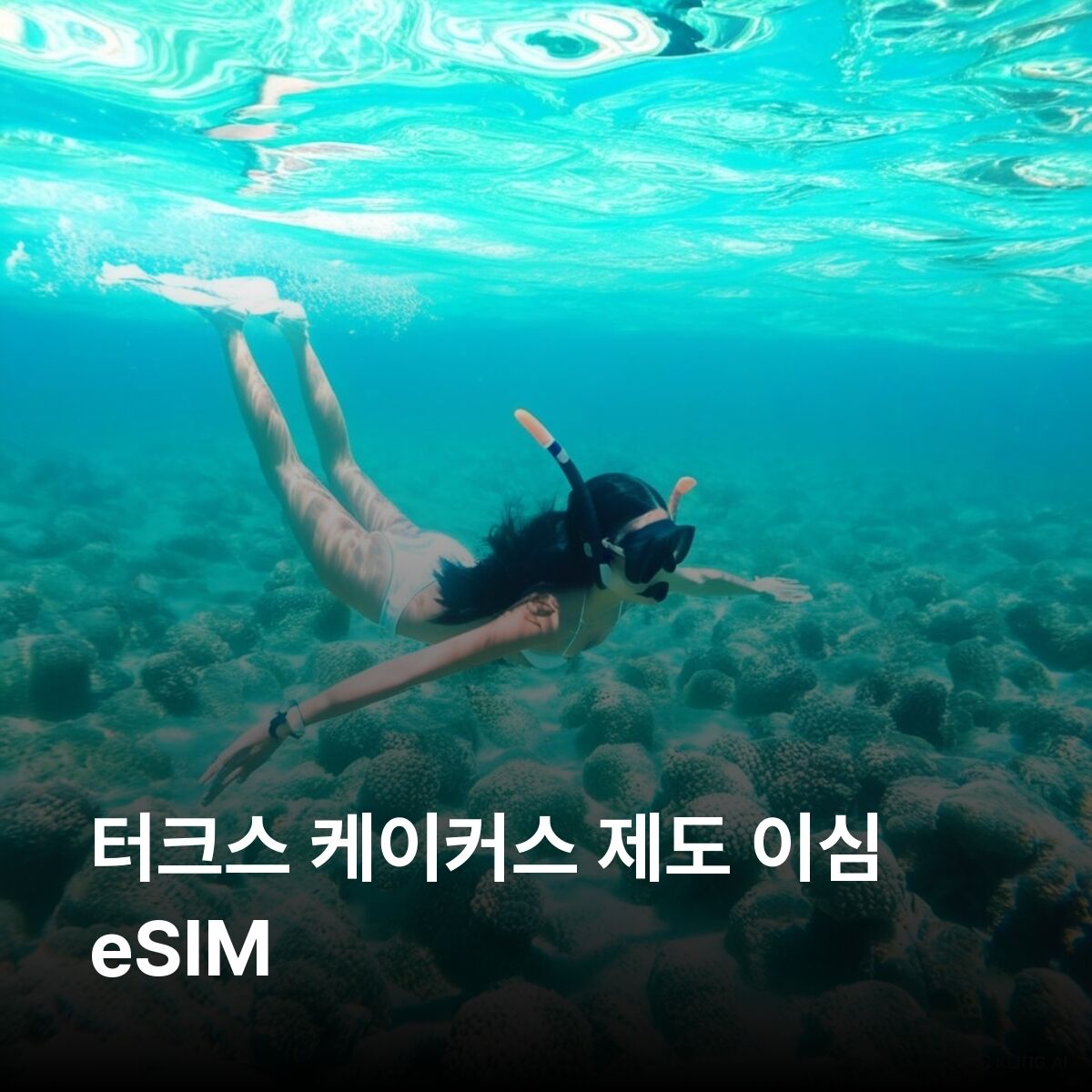 터크스 케이커스 제도 이심 eSIM 프로비덴시알레 그랜드 터크 노스 케이커스 미들 이심통