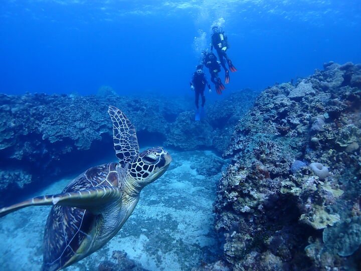 사이판 체험·액티비티 - 사이판 초보자도 가능한 스쿠버다이빙 체험 액티비티