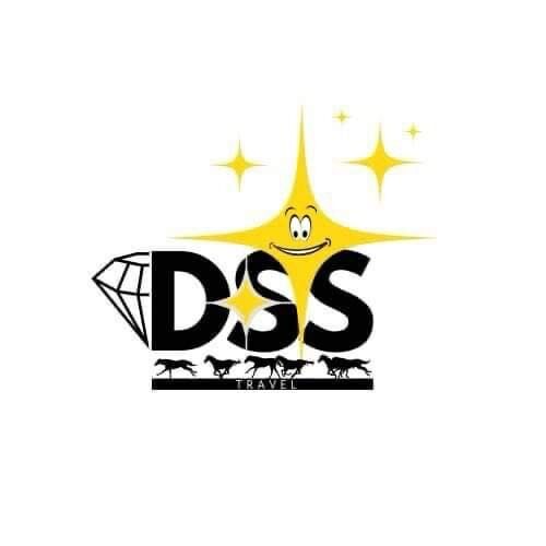 DSS투어
