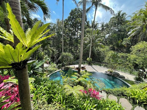 더 우바리 발리