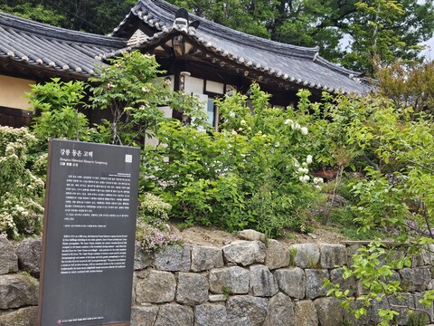 강릉 다시,옴 한옥스테이