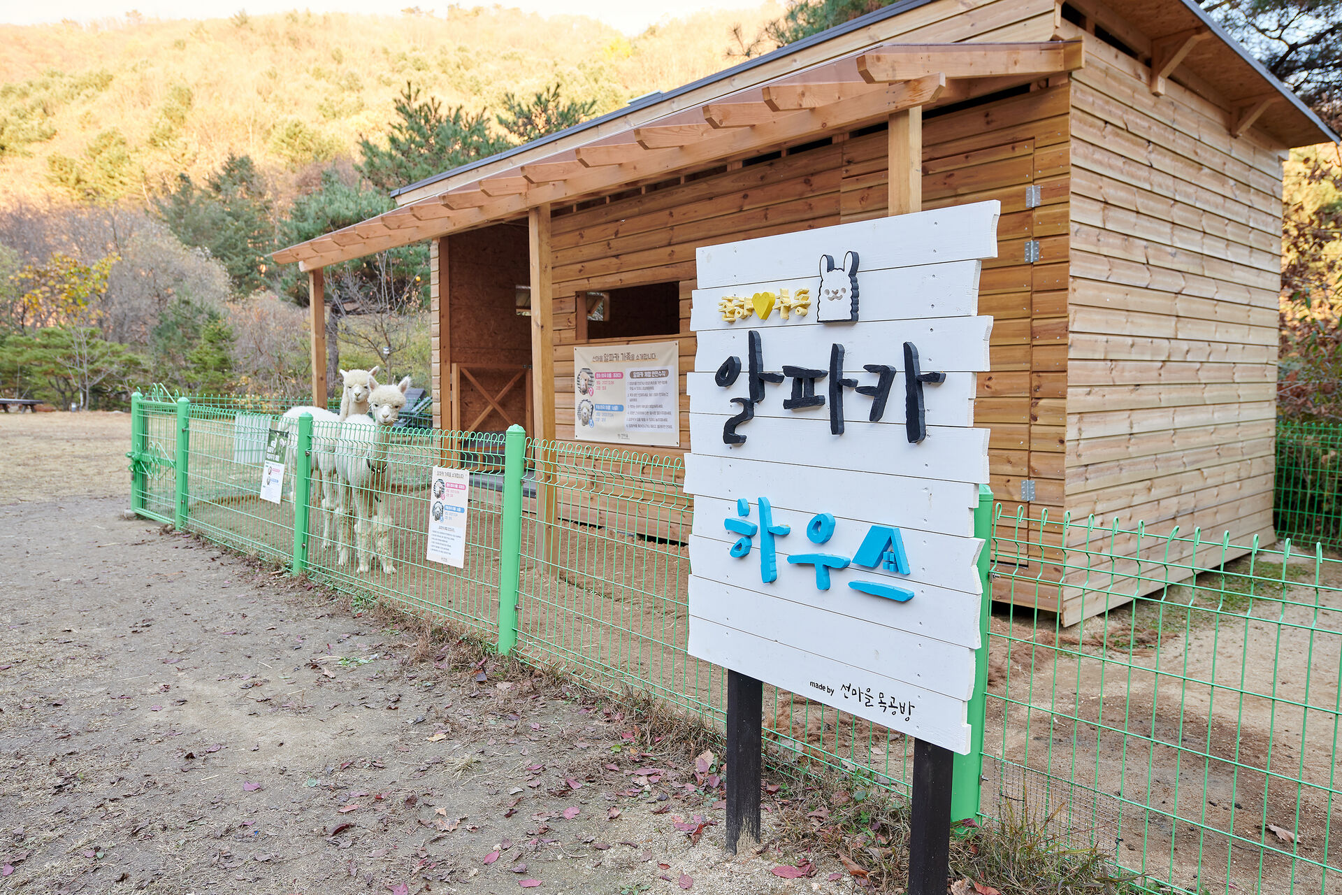 힐리언스 선마을 사진