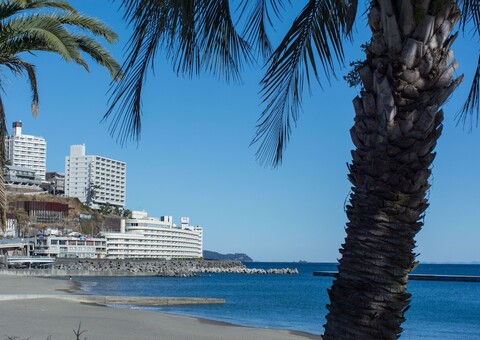 위스테리안 라이프 클럽 아타미