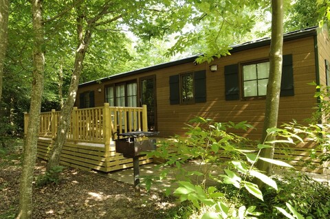 디즈니 다비 크로켓 랜치