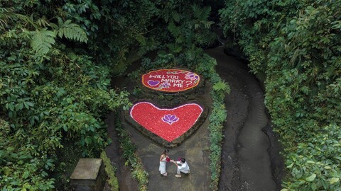 진유인호스트의 세이크리드 밸리