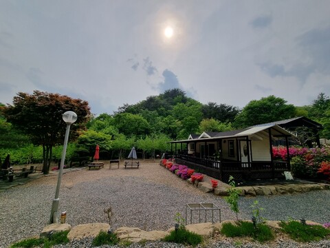 춘천 꿈을 드림 캠핑장