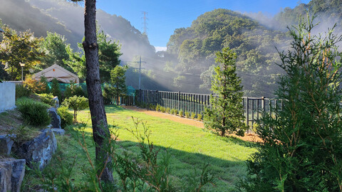 연천 포리하우스 애견펜션