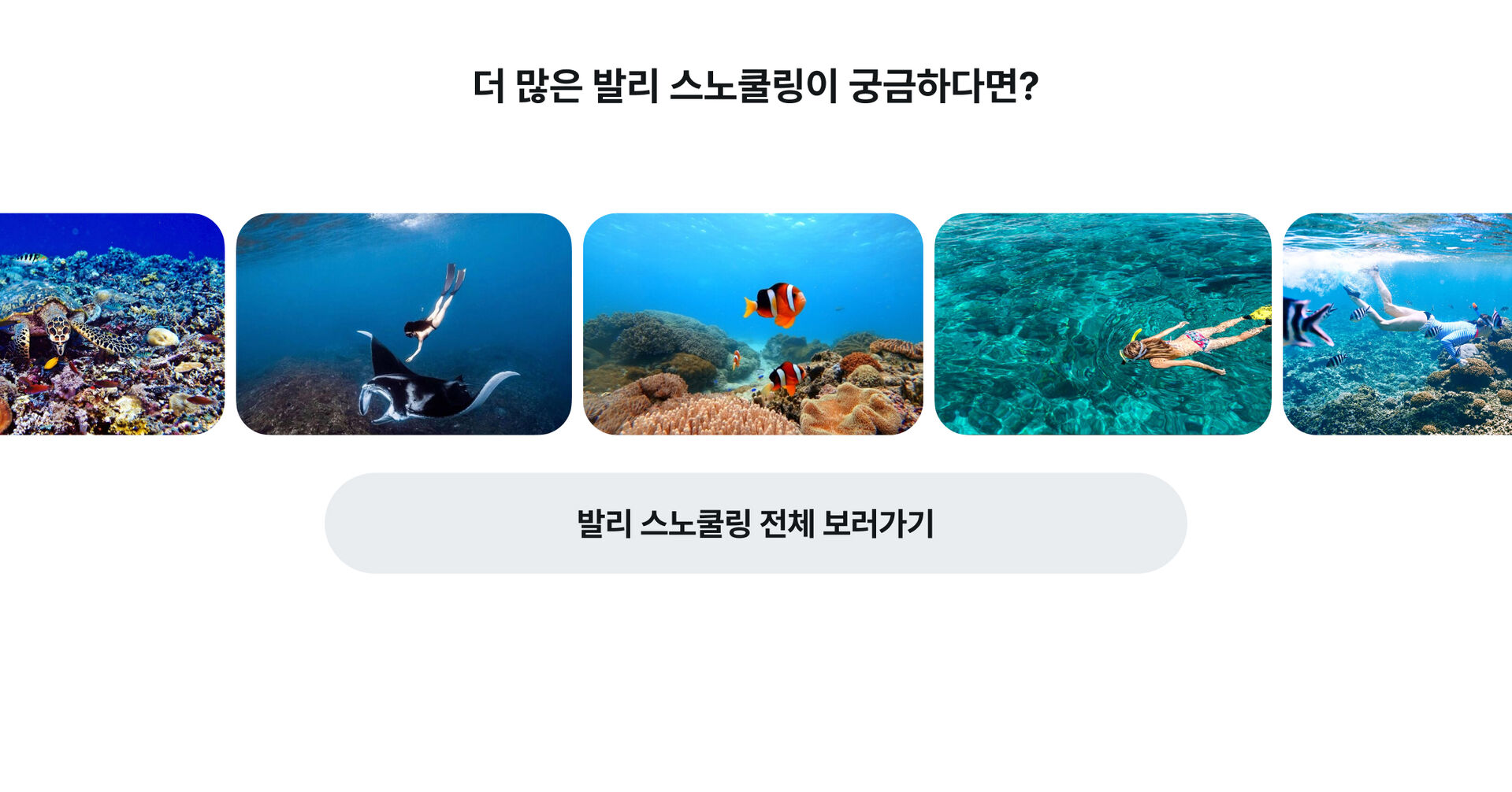 PC_더보기.jpg
