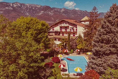 아마데우스 오라&아모레