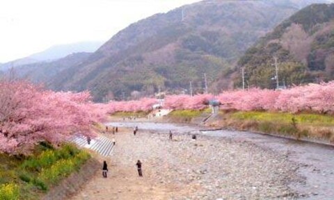 Oyado Hananoki (Colorful taste&Red Snapper)
