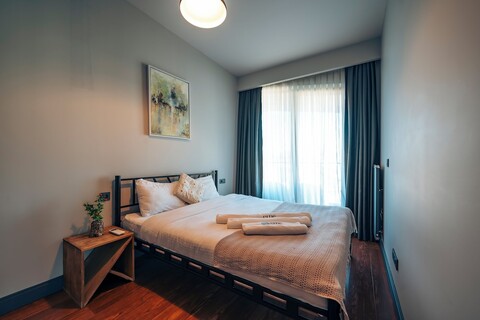 베네스타 게스트 테오리