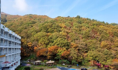 구례 준성리조트