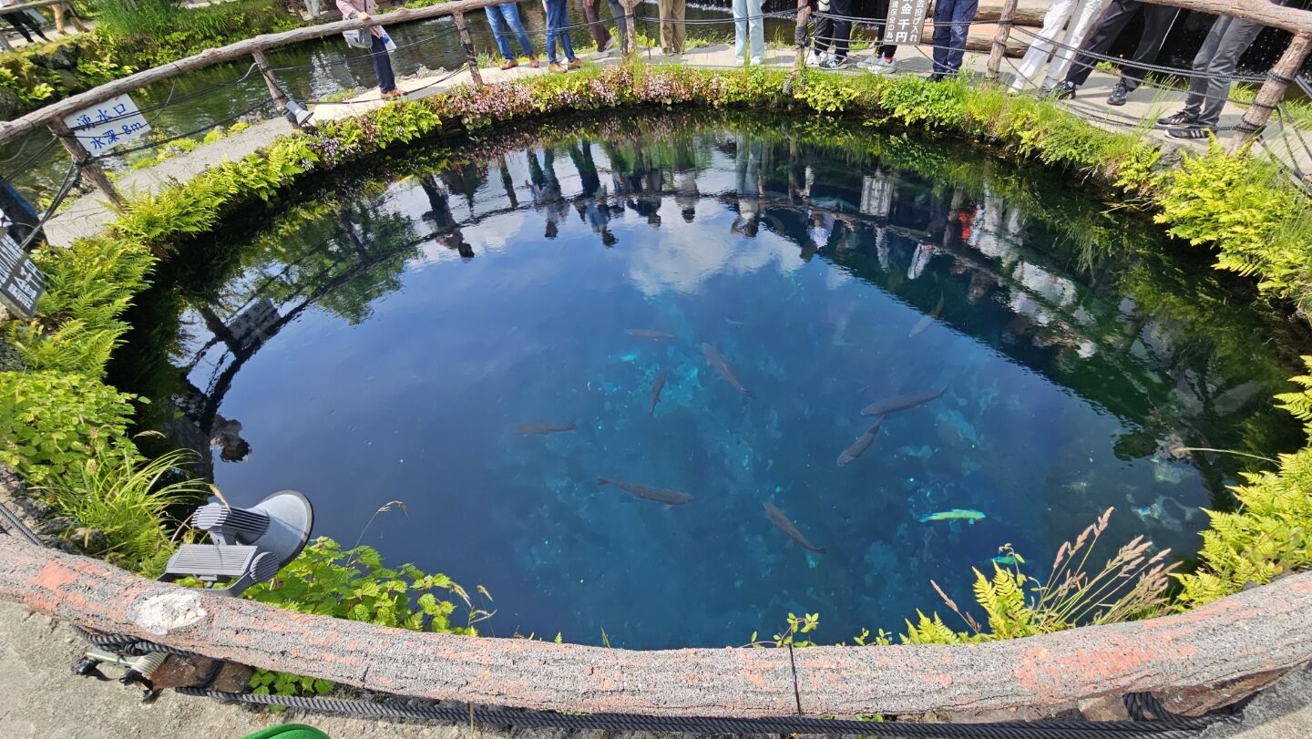 [도쿄](후지산/하코네투어])하루에 후지산과 하코네를 동시에 체험해보는 프라이빗투어! 2명부터OK