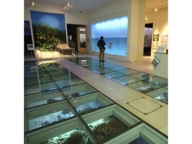 Condominium Resort Naha Living Inn Asahibashiekima - Vacation STAY 92447v