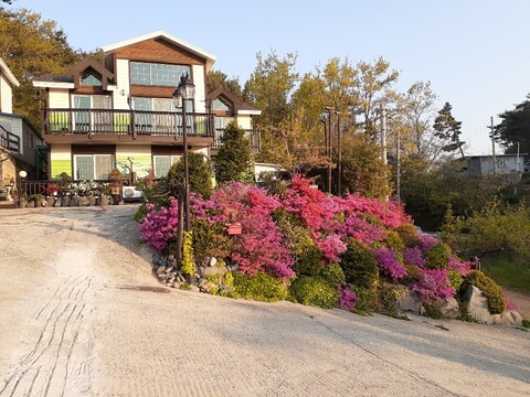 태안(안면도) 해마루펜션