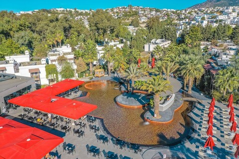 매우 시크한 보드룸 어덜트 온리 +18