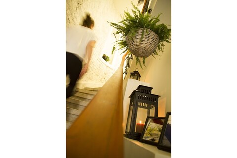 마그노바 스위트